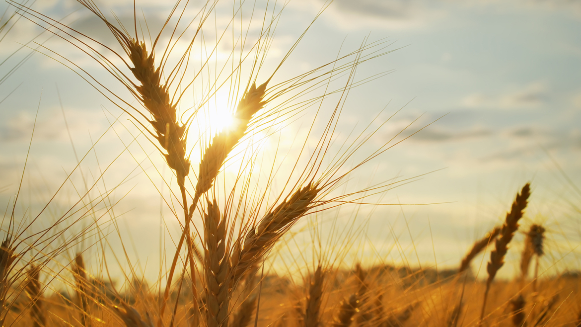 blog thumb not found